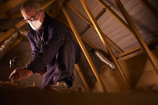 Best Cellulose Insulation in Charleroi, PA